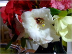 dscf5597