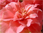 dscf5609