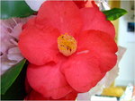 dscf5628