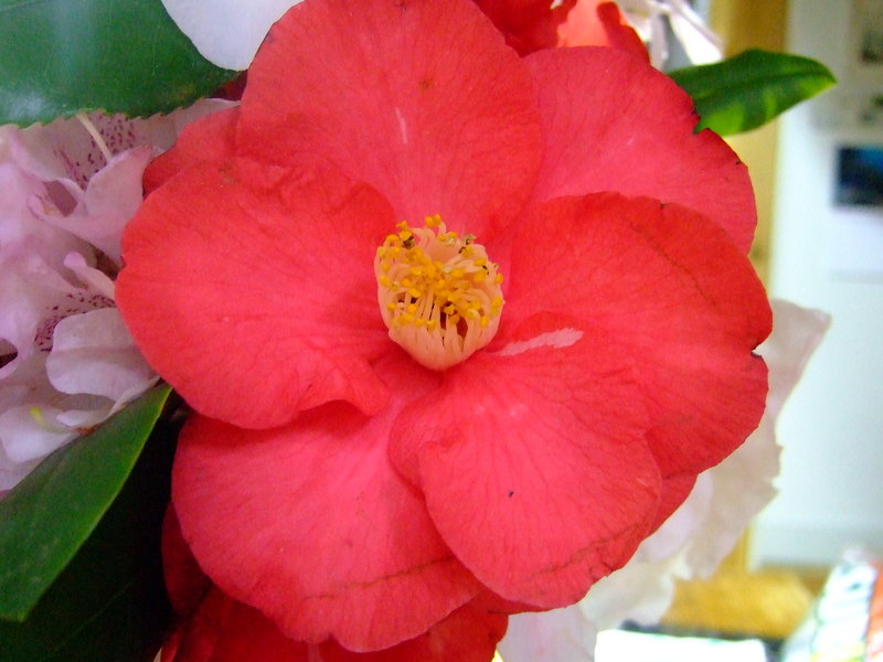 dscf5628