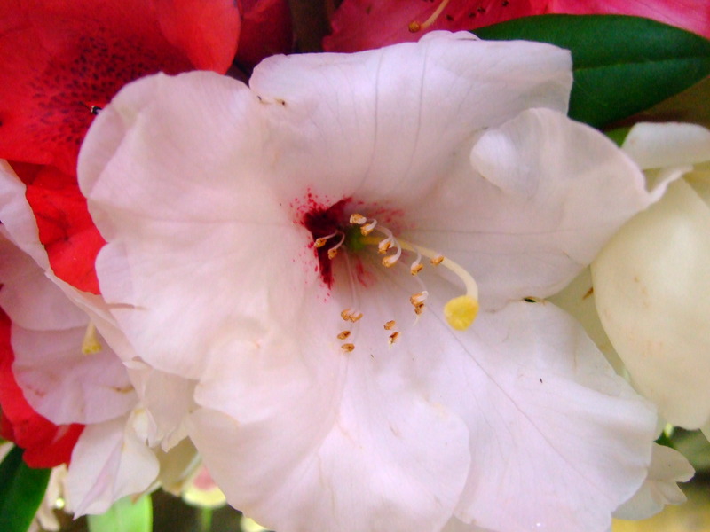dscf5630
