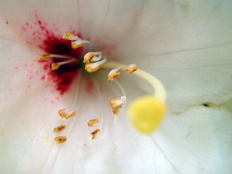 dscf5631