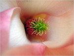 dscf5638