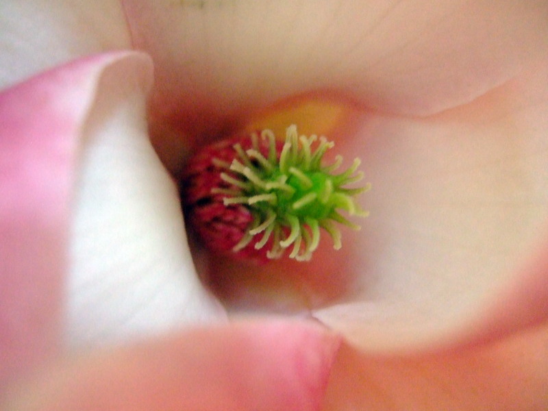 dscf5638