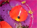 dscf5761