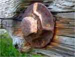 dscf5991