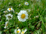 dscf6011