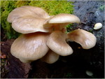 dscf6164