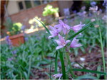 dscf6230