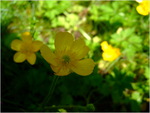 dscf6246