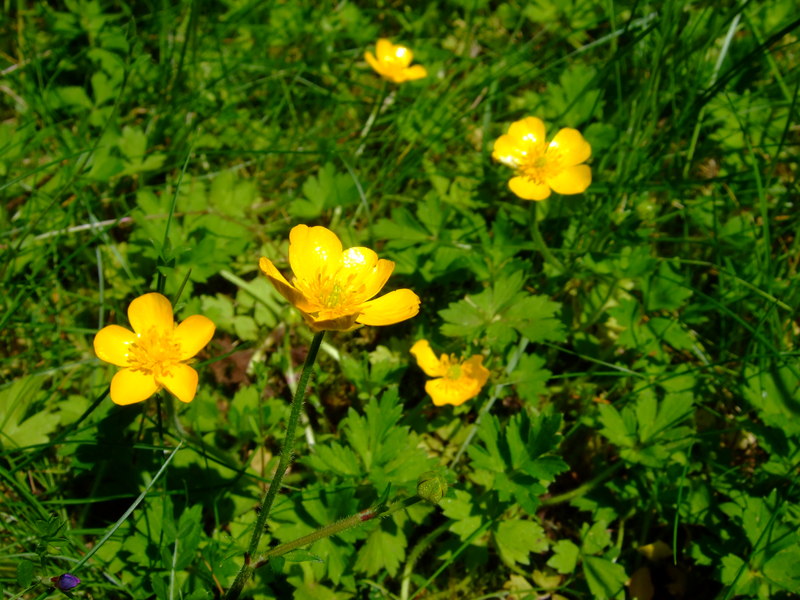 dscf6247
