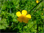 dscf6252