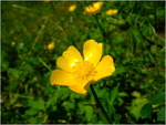 dscf6253