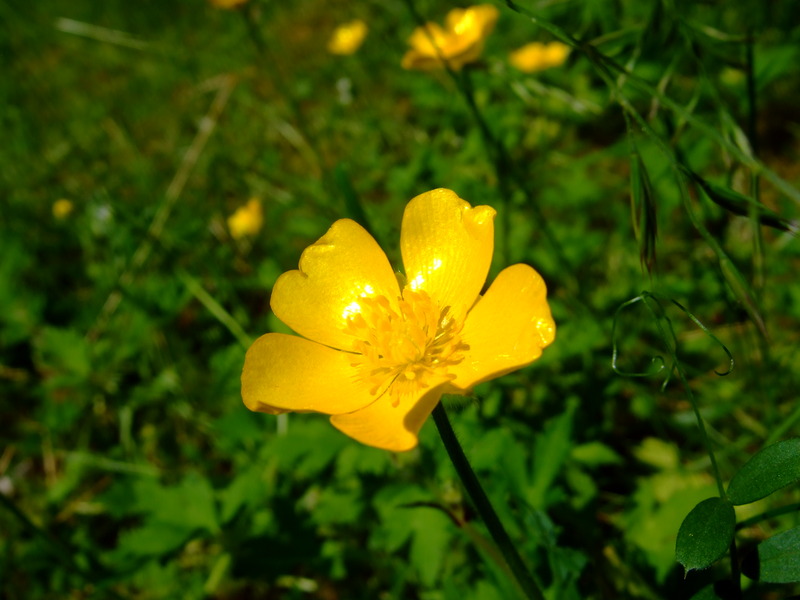 dscf6253