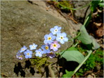 dscf6261