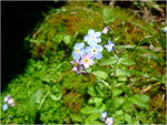 dscf6262