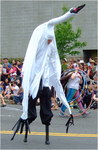 dscf6738p