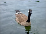 dscf6784