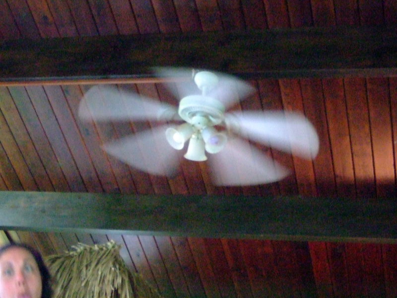 dscf6936