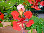 dscf6957