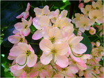 dscf6965