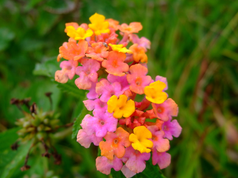dscf7038