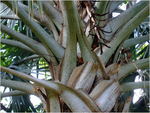 dscf7143