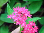 dscf7147