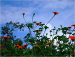 dscf7173