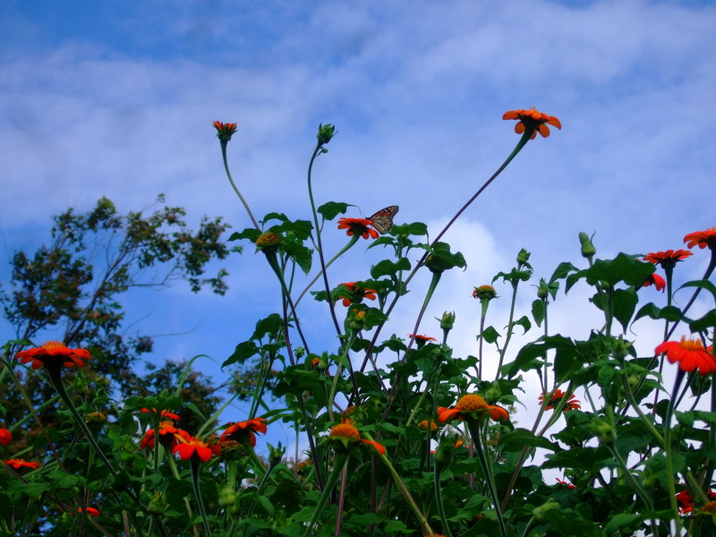 dscf7173