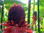 dscf7176