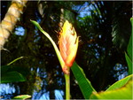 dscf7177