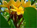 dscf7180