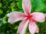 dscf7192