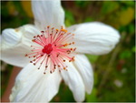 dscf7209