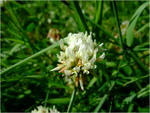 dscf7278