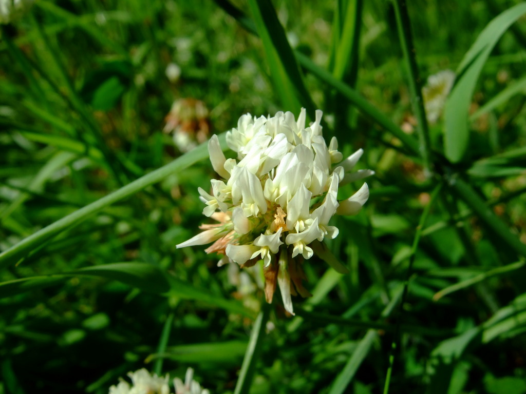 dscf7278