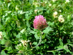dscf7279