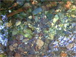 dscf7298