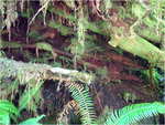 dscf7303