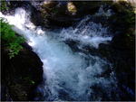 dscf7311