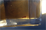 dscf7544pu