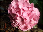 dscf8117