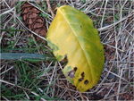 dscf8248