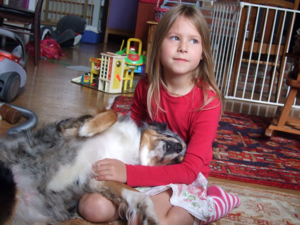 dscf8483