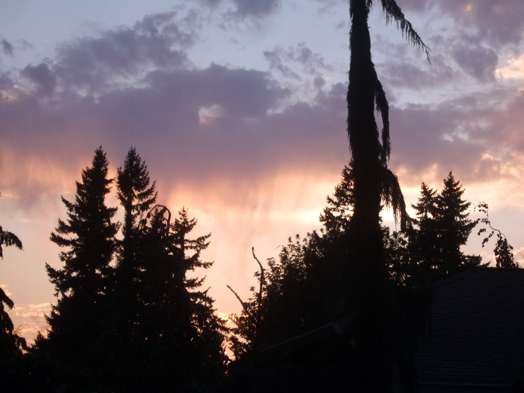 dscf8621