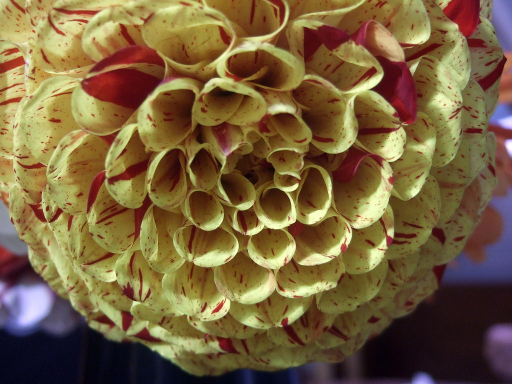 dscf8668