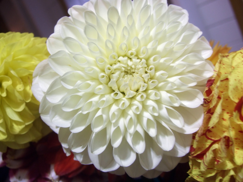 dscf8672