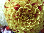 dscf8675