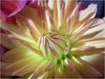 dscf8679